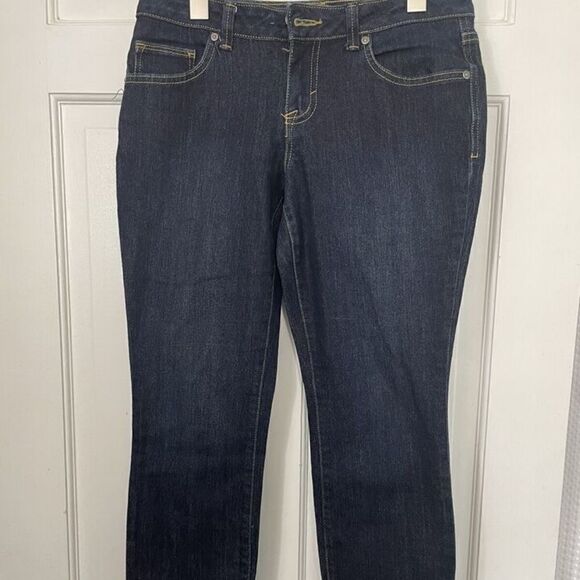 Style & Co. Denim - Style & Co Skinny Jeans Low Rise Blue Denim 14S